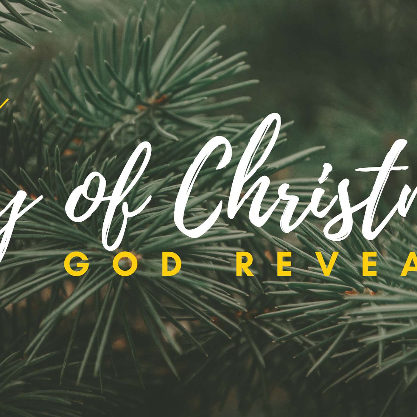 Joy of Christmas - God Revealed episode artwork