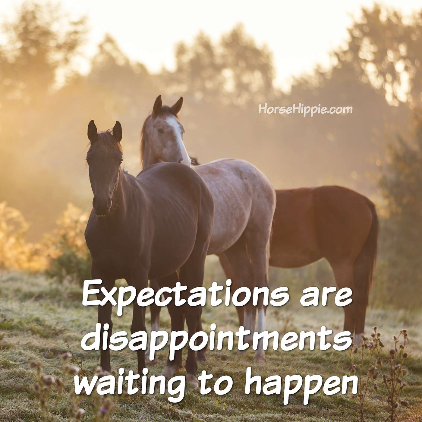 Who Wants Resentment in Their Heart?