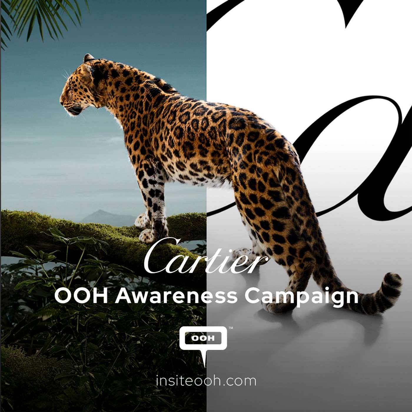 Cartier’s Wild Icon Roars to Life Across Dubai’s Digital Skyline