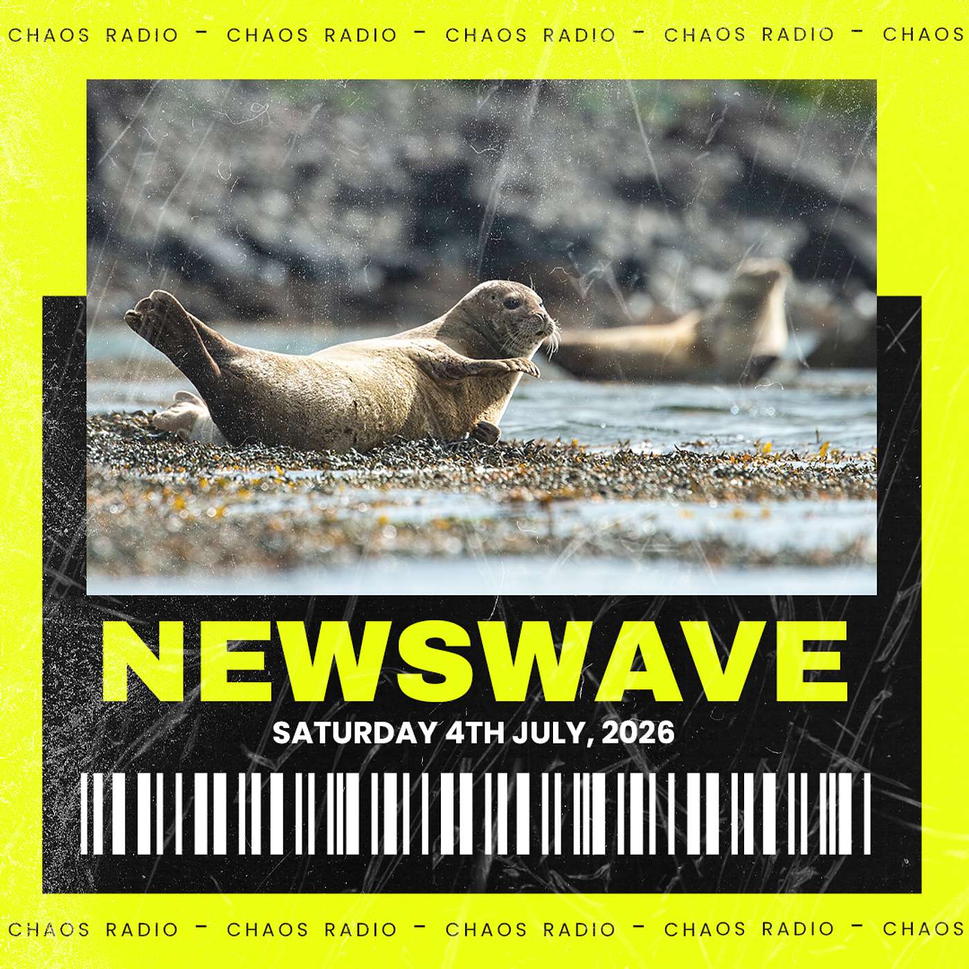 NEWSWAVE - Helping Hands episode artwork