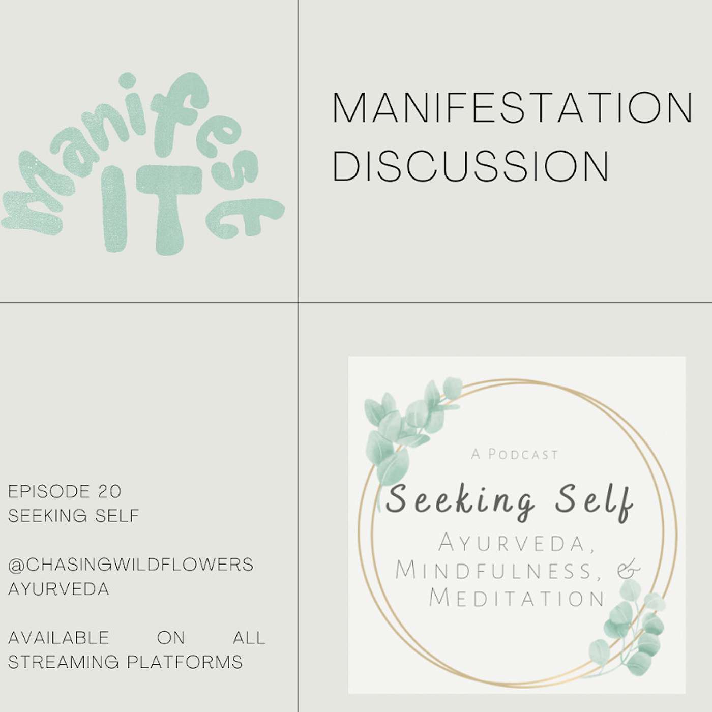 Episode 20 Manifestation Discussion