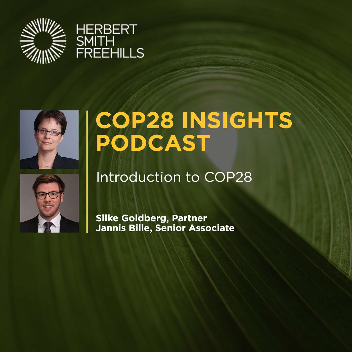 COP28 Insights: Introduction to COP28 episode artwork