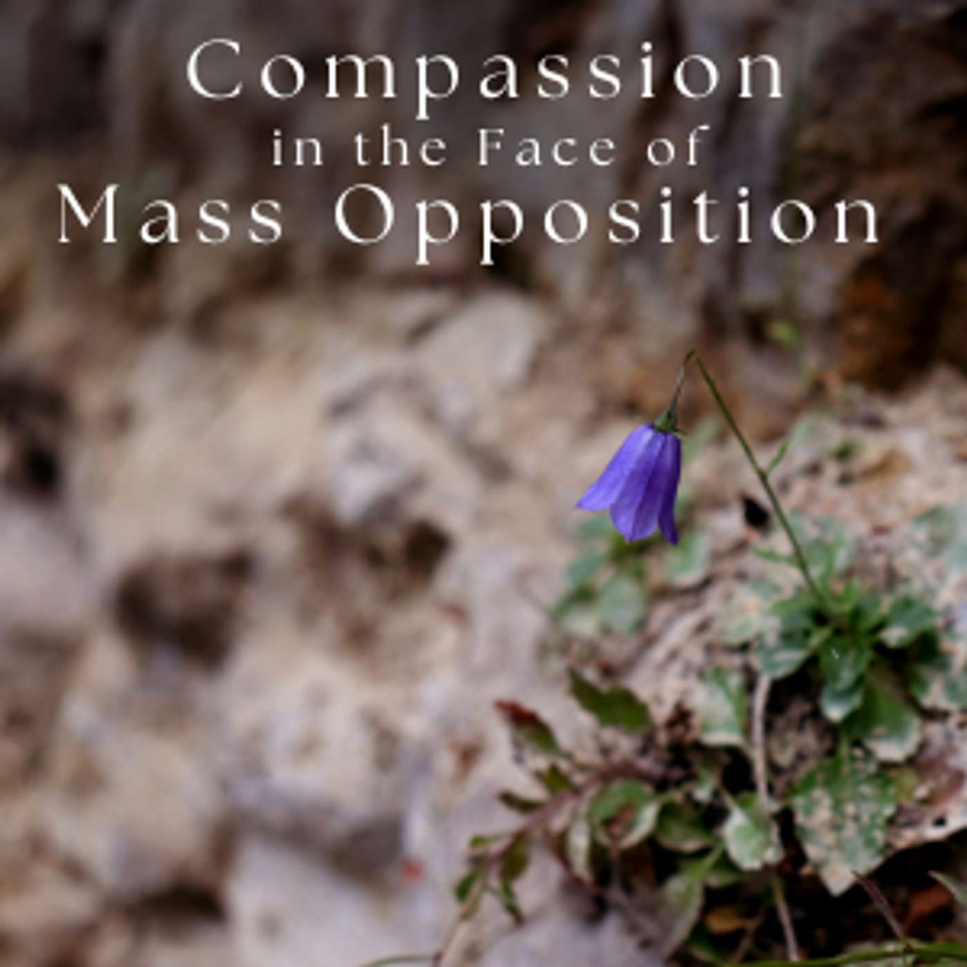 Compassion in the Face of Mass Opposition episode artwork