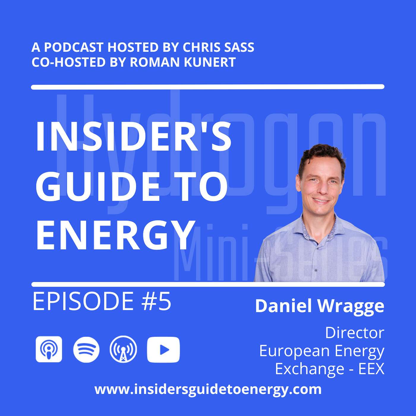 Insider\'s Guide to Energy