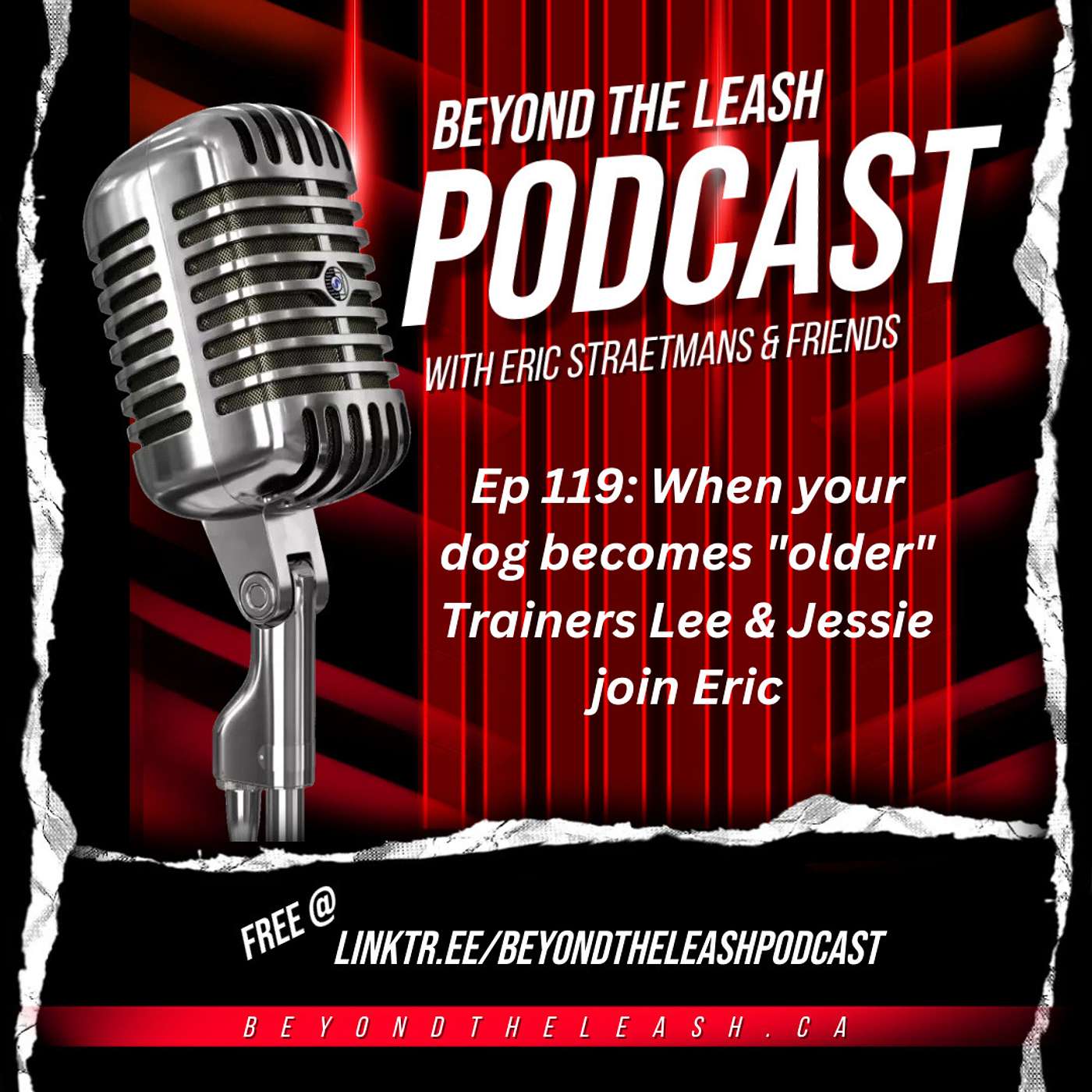 Beyond The Leash