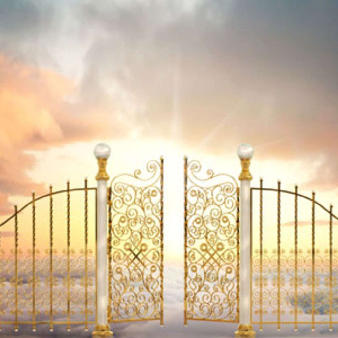Kingdom Understanding