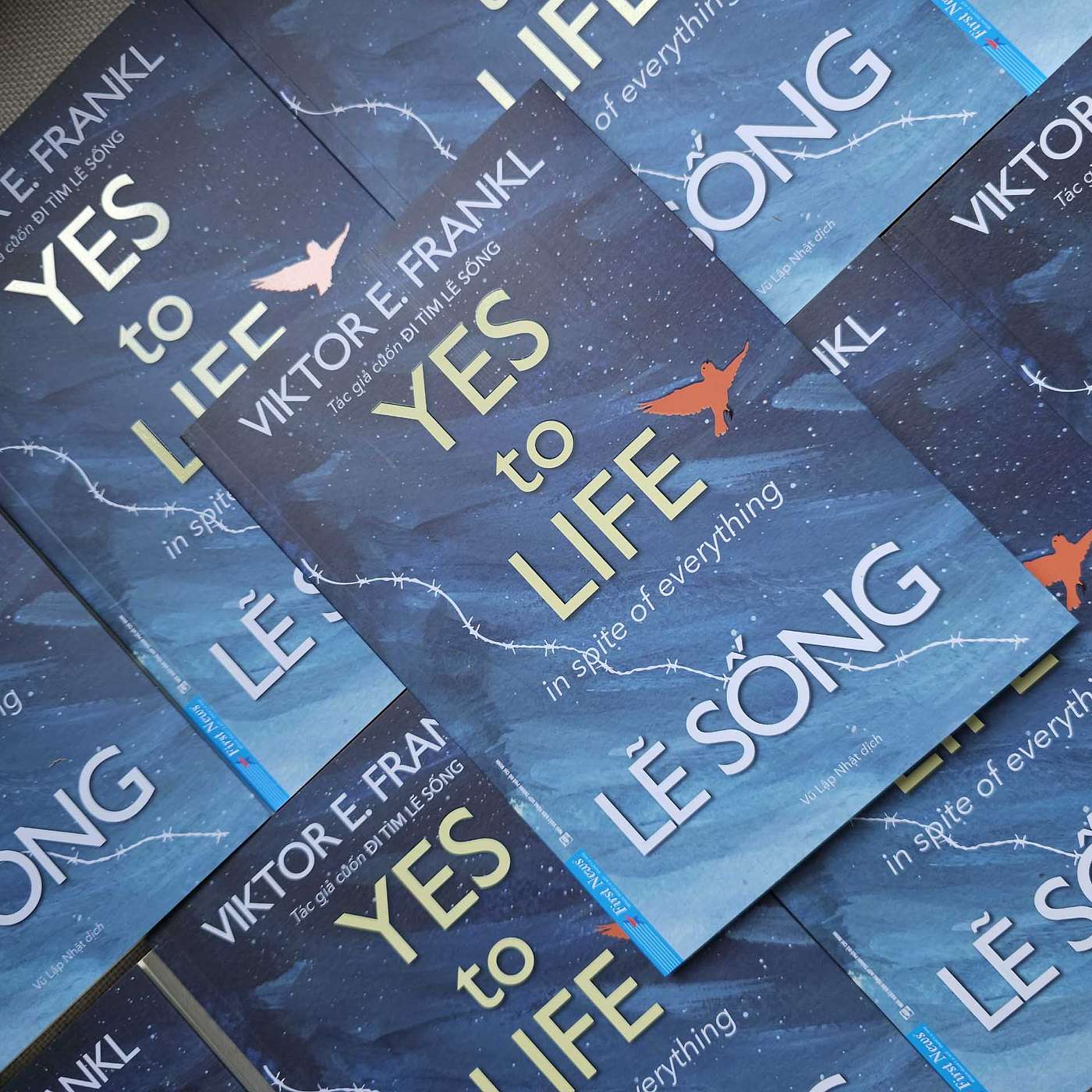 Lẽ sống - Chính thái độ nhìn cuộc sống sẽ quyết định cuộc đời bạn