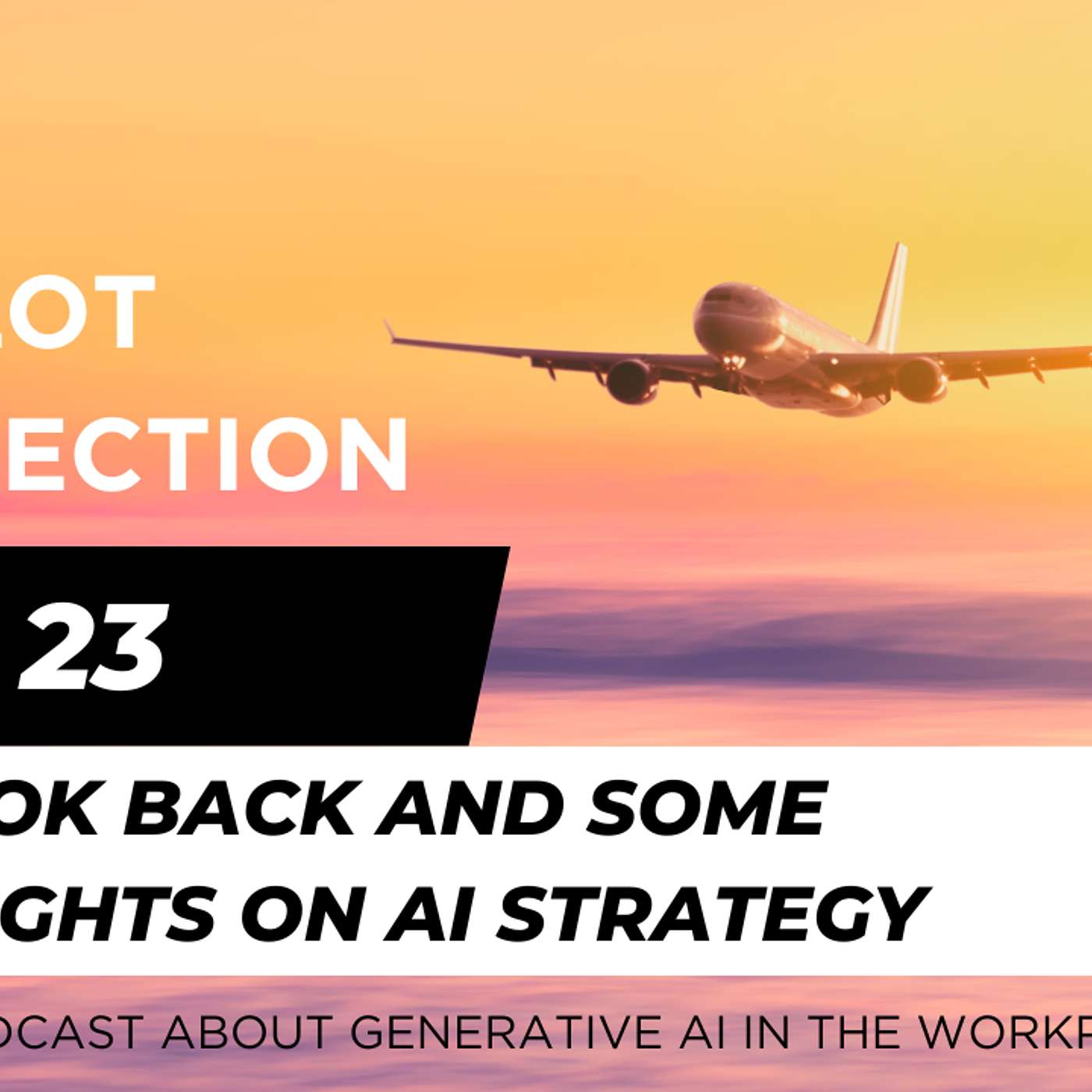 Ep 23 - a look back and some thoughts on AI strategy