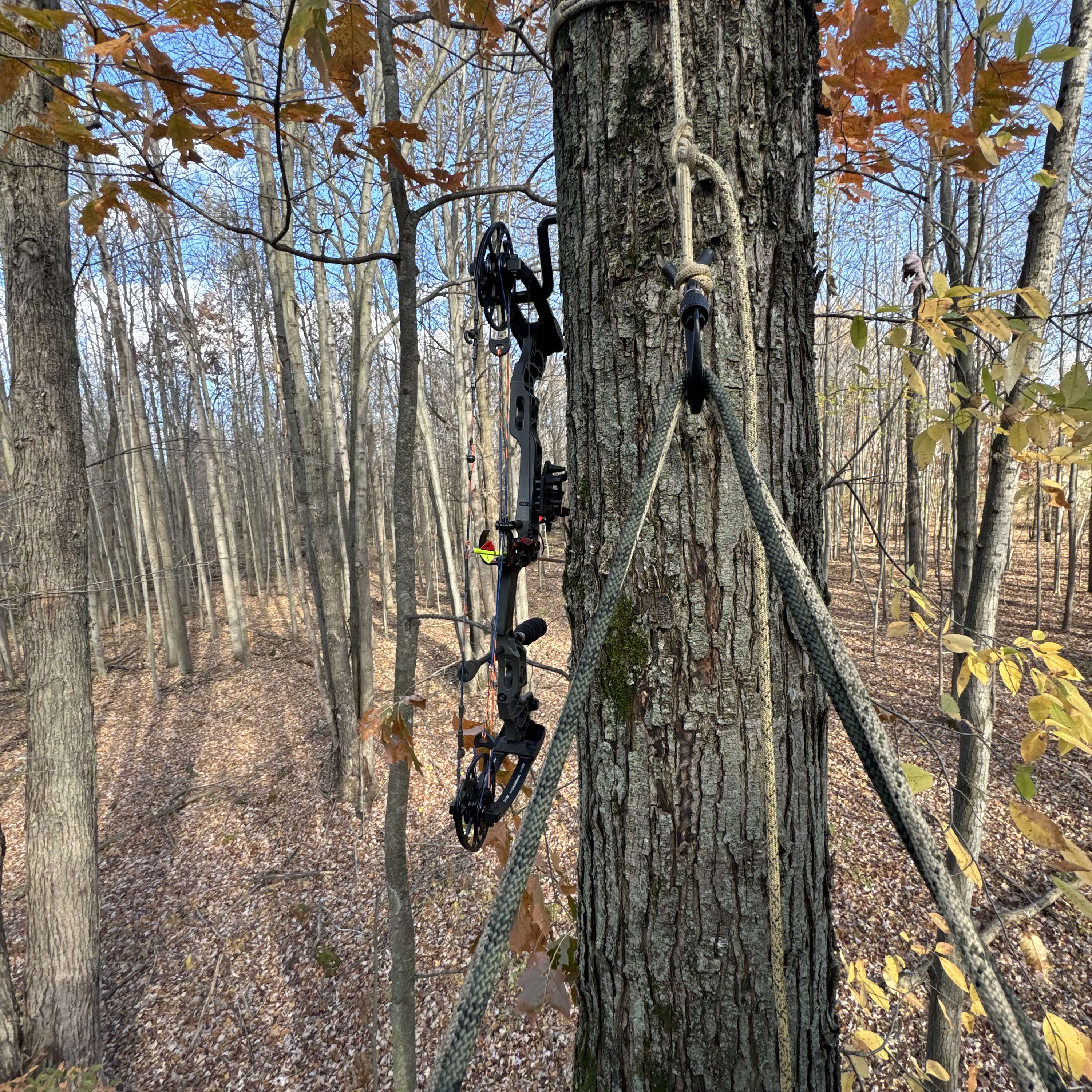 Bowhunter to Bowhunter