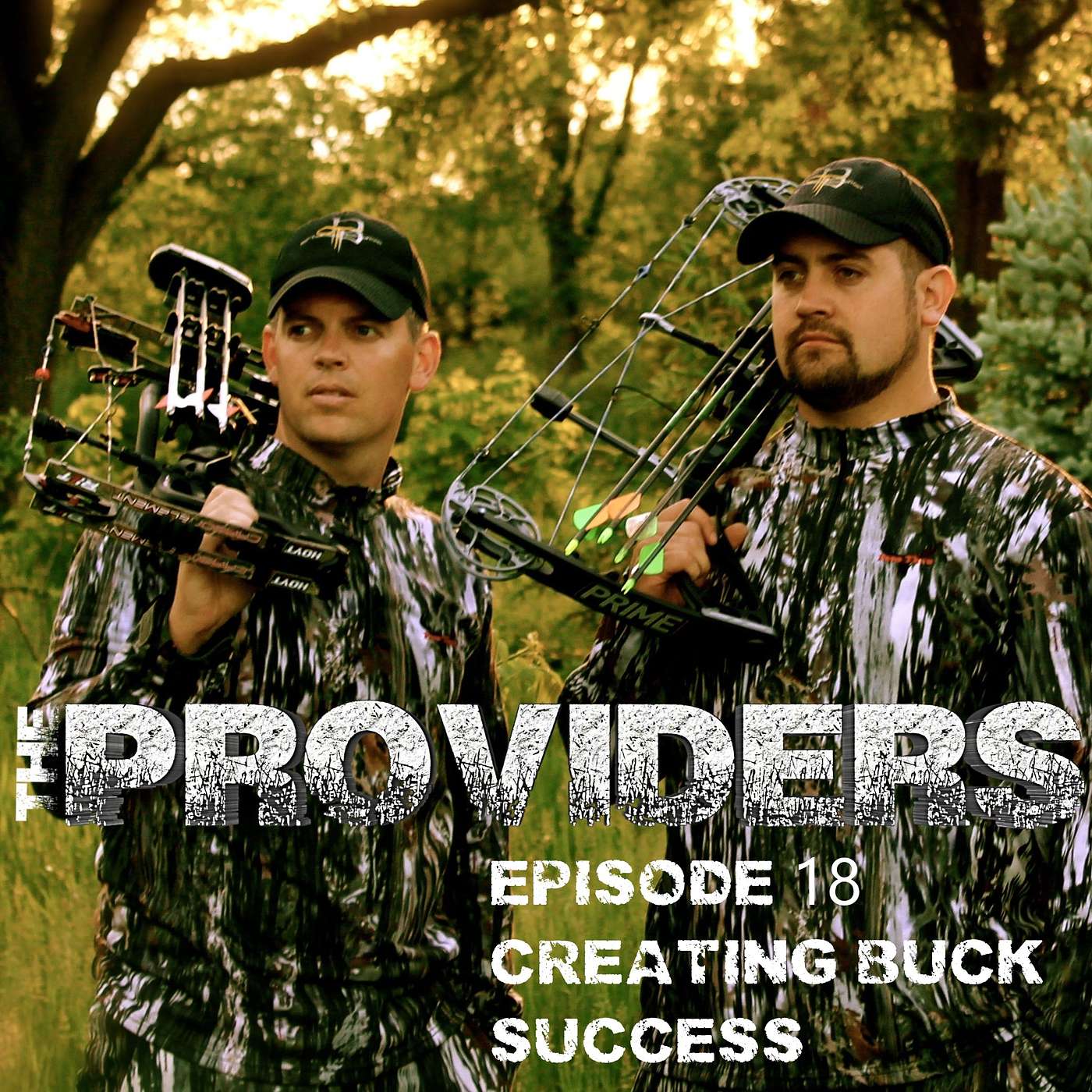 The Providers