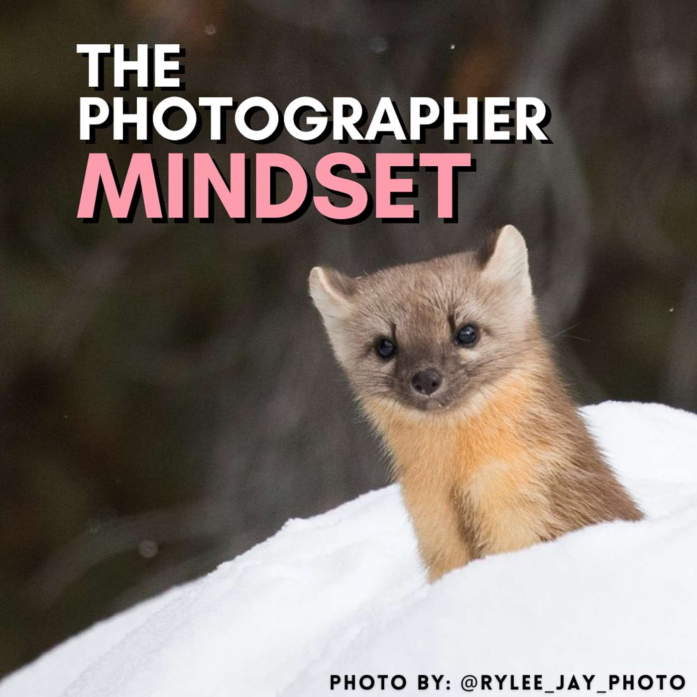 Revisiting Instagram Reels and NFT's