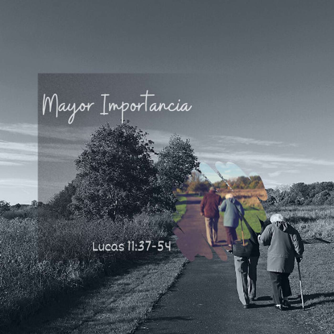 Mayor Importancia