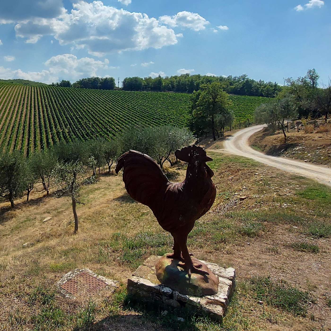 Chianti: Traditional Foods and "Hidden" Sights Chianti: Traditional Foods and "Hidden" Sights