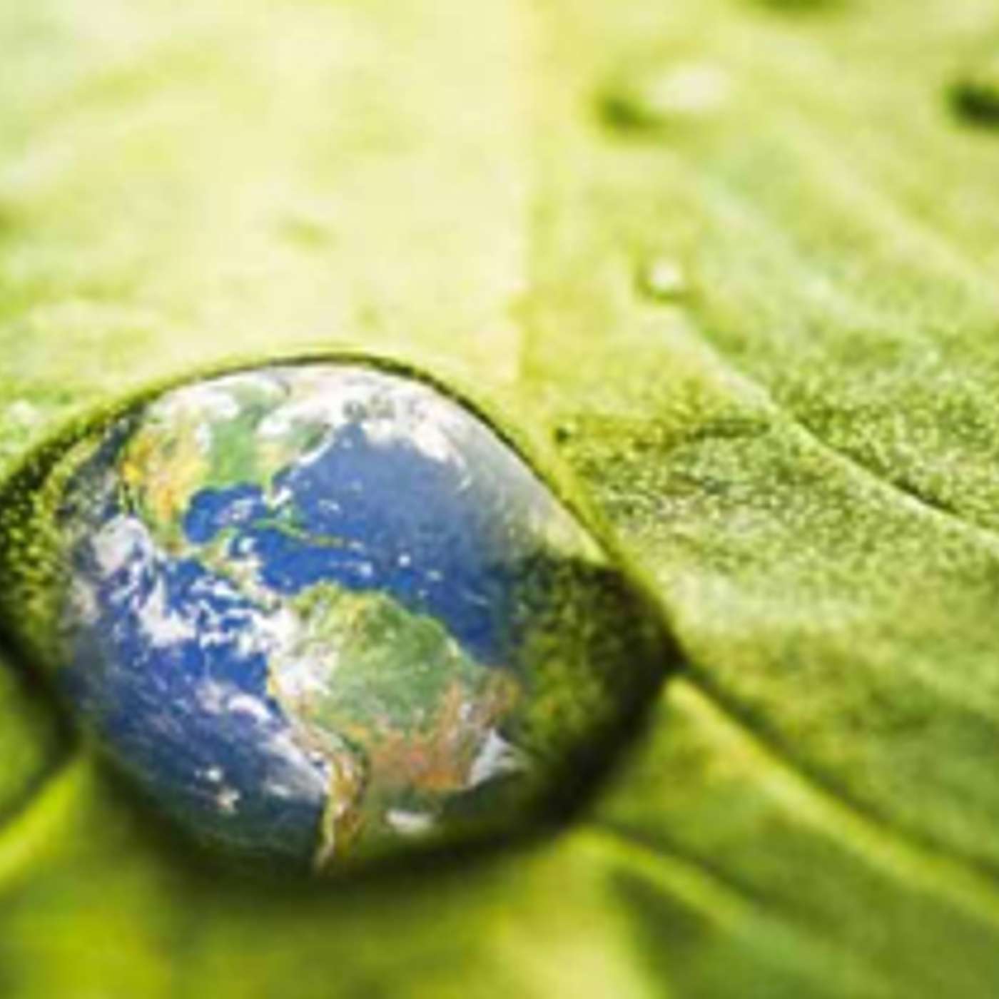 Reflecting on Laudato Si at 5 years with Jane Mellet - 19 April 2020 (SS102fm Programme excerpt) (S10E22b)