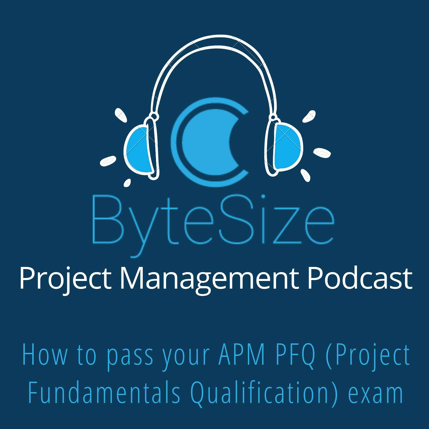 Training ByteSize Project Management - insights, interviews and expertise