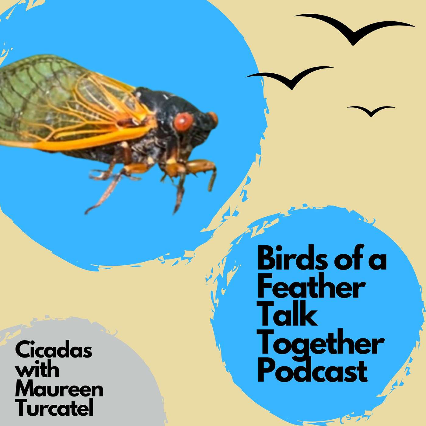 Birds of a Feather Talk Together