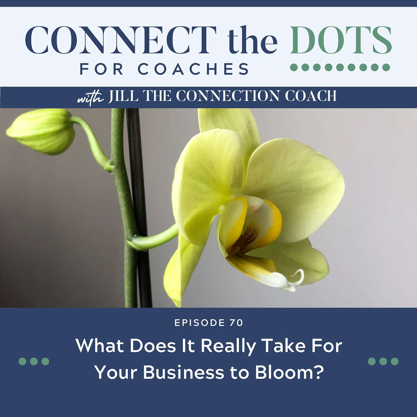 What does it really take for your business to bloom?  S3: Ep 70