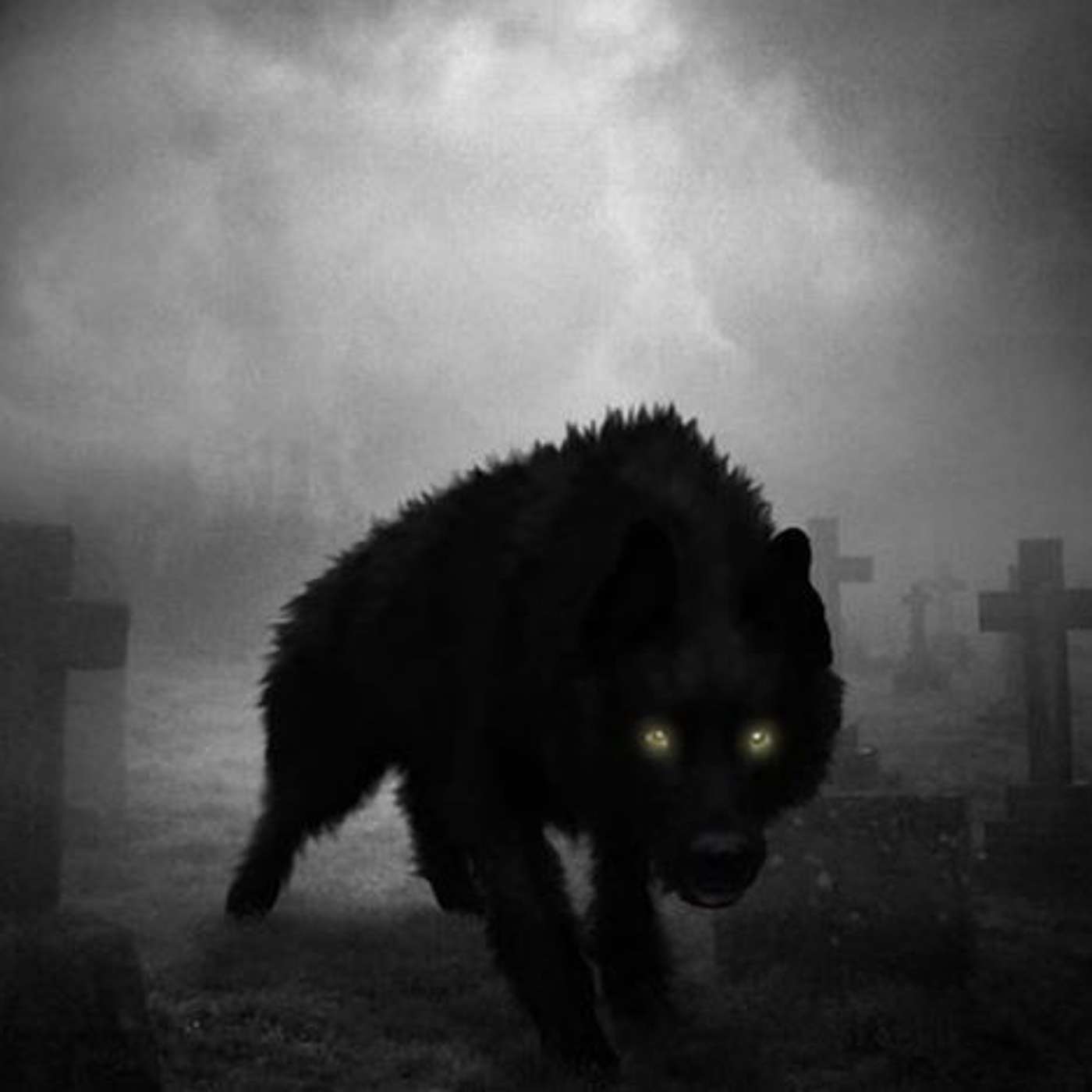After Words Paranormal