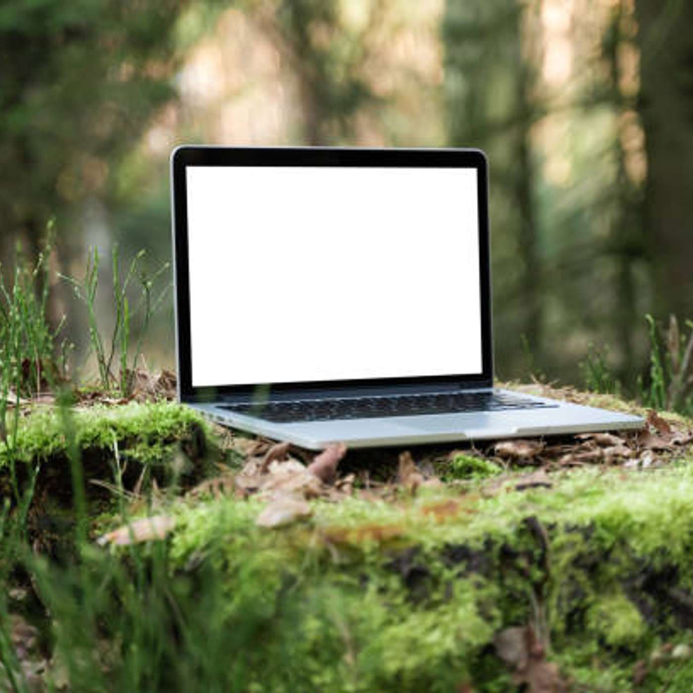 Lvl 16: Co-Sign (Ft phree)