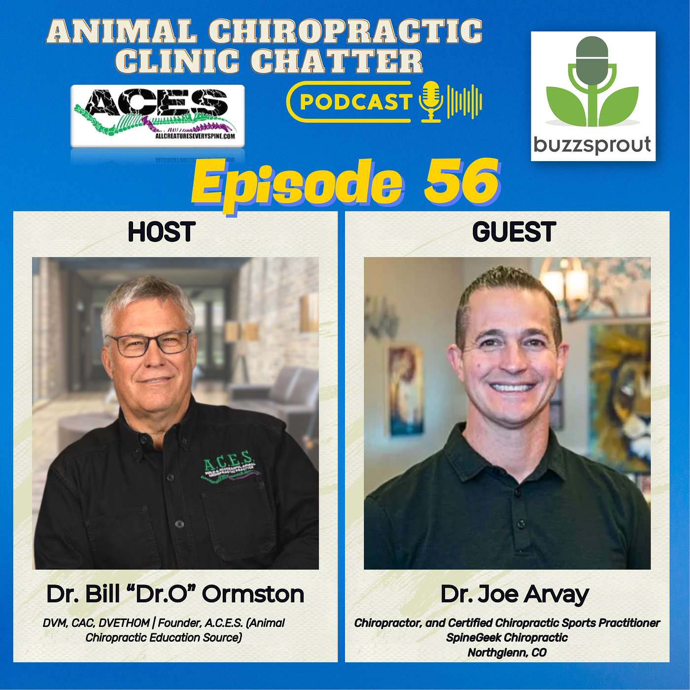 Animal Chiropractic Clinic Chatter - 🎙️ Animal Chiropractic Clinic Chatter | Interview with Dr. Joe Arvay 🎙️