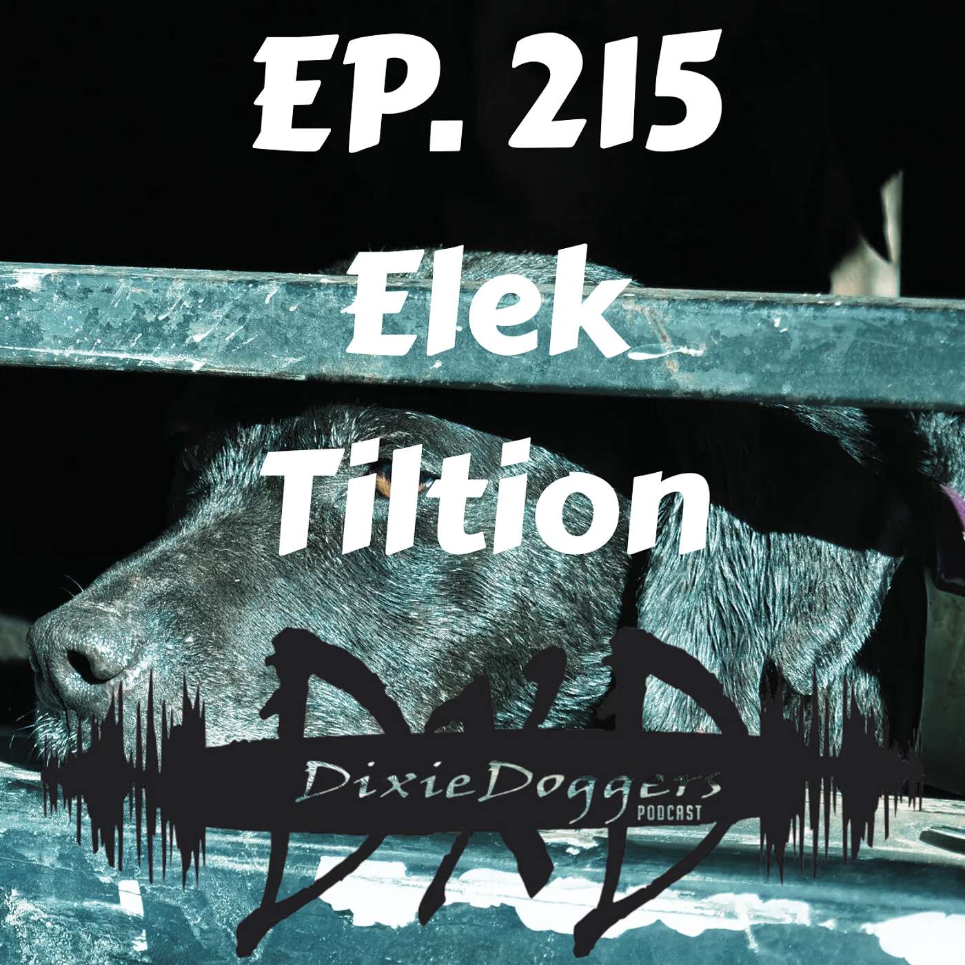 Dixie Doggers Podcast