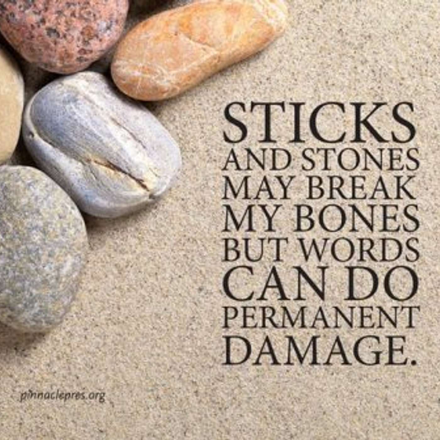 Episode 164 - Really? Sticks and Stones?!