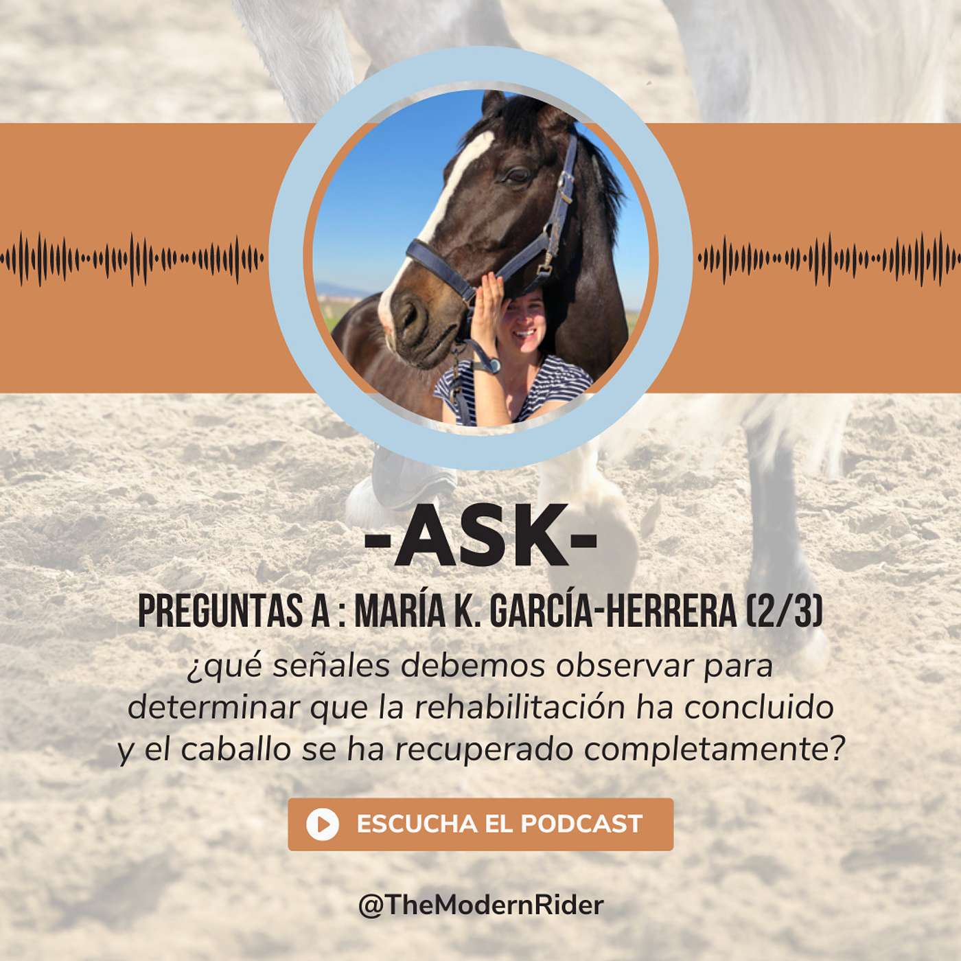 [ASK] Preguntas a María K. García-Herrera (2/3) : ¿qué señales debemos observar para determinar que la rehabilitación ha concluido y el caballo se ha recuperado completamente? y : ¿Cómo deberíamos planificar una rehabilitación para un caballo que sufre de