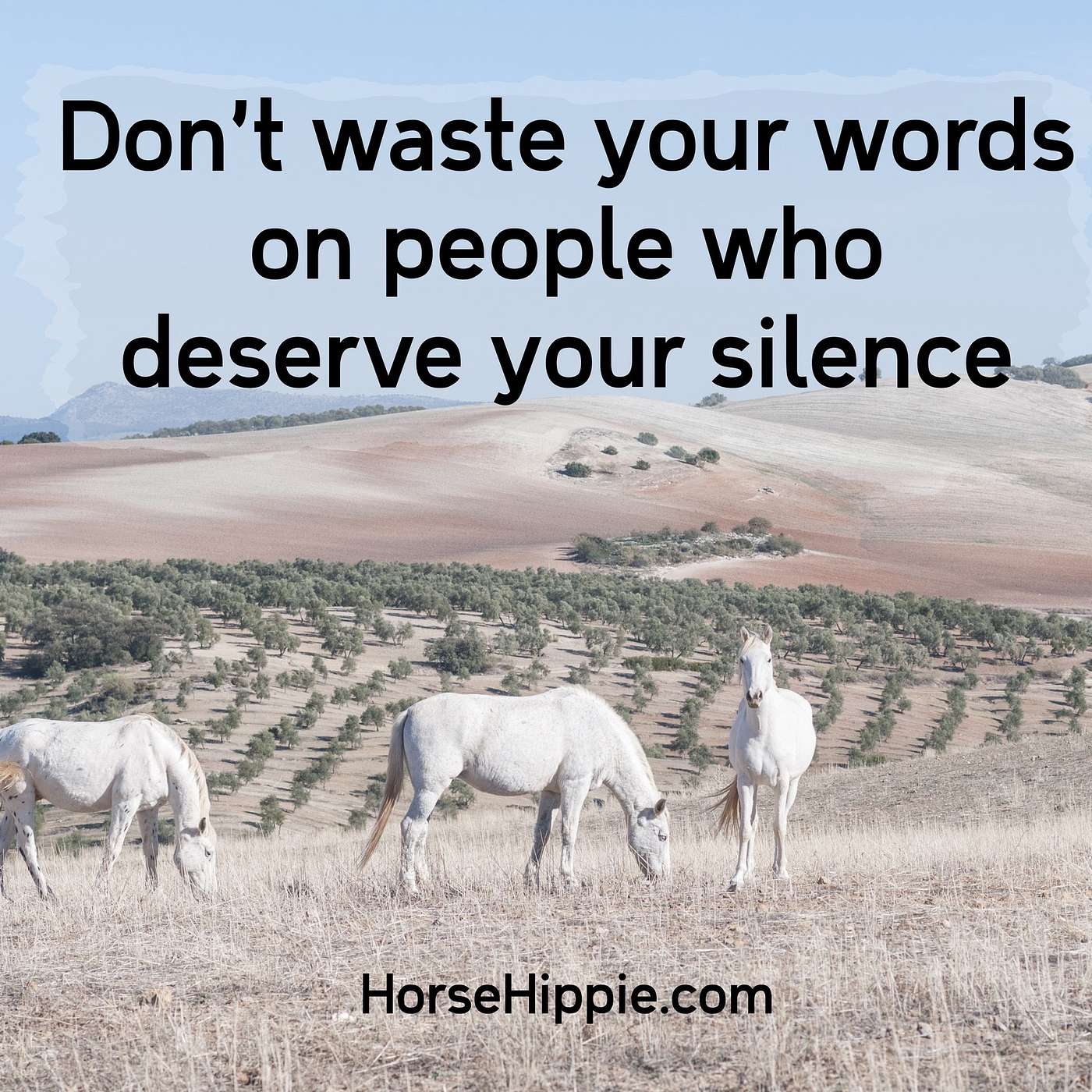 Don’t Waste Your Words