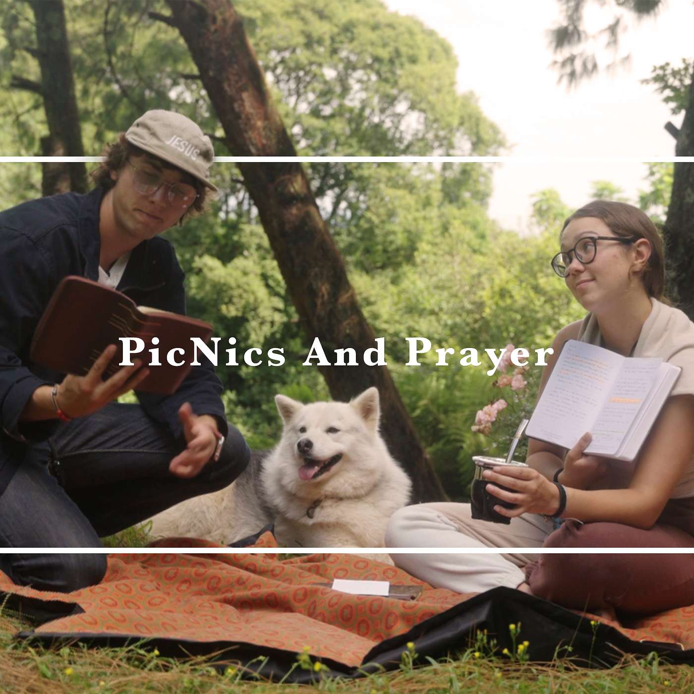 Passive aggressive PicNics, 