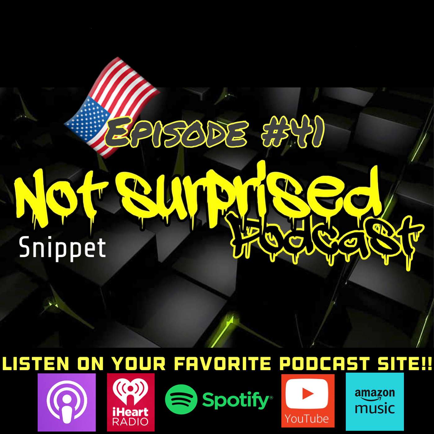 Not Surprised Podcast