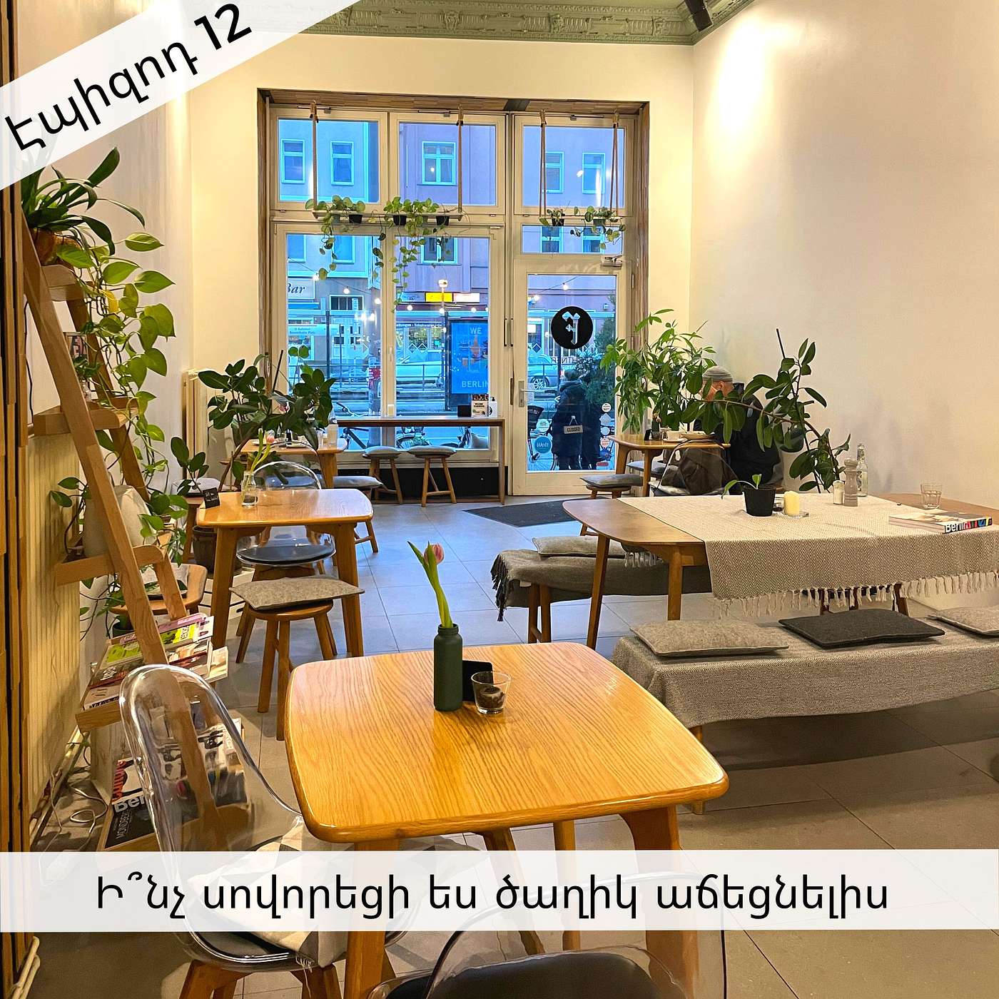 Էպիզոդ 12: Ի՞նչ սովորեցի ես ծաղիկ աճեցնելիս episode artwork