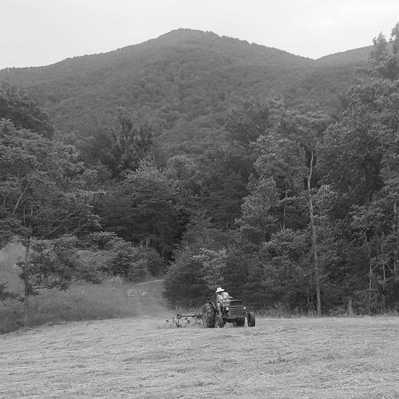 The Appalachian Podcast