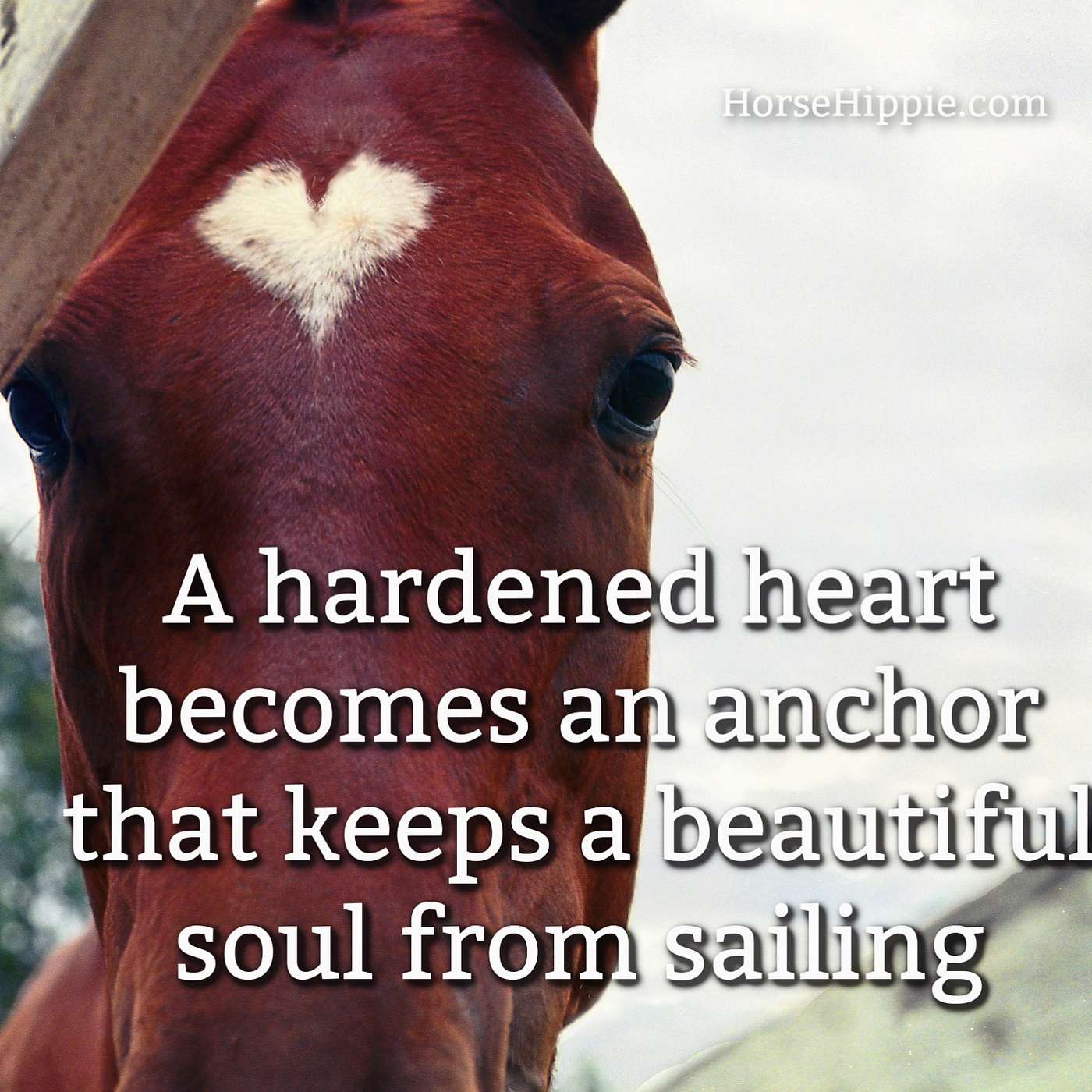 Keep Your Heart Open