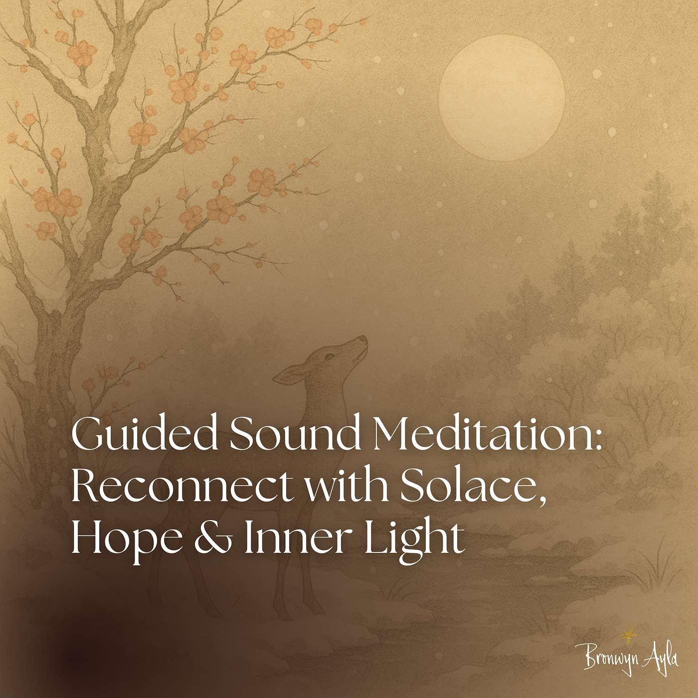 Guided Sound Meditation: Reconnect with Solace, Hope & Inner Light Guided Sound Meditation: Reconnect with Solace, Hope & Inner Light