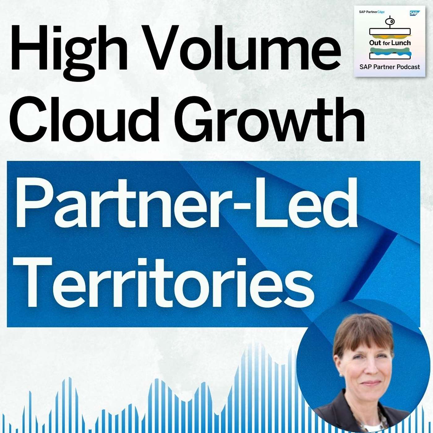 Partner-Led Territories: Scale and Accelerate High Volume Cloud Growth Independently of SAP