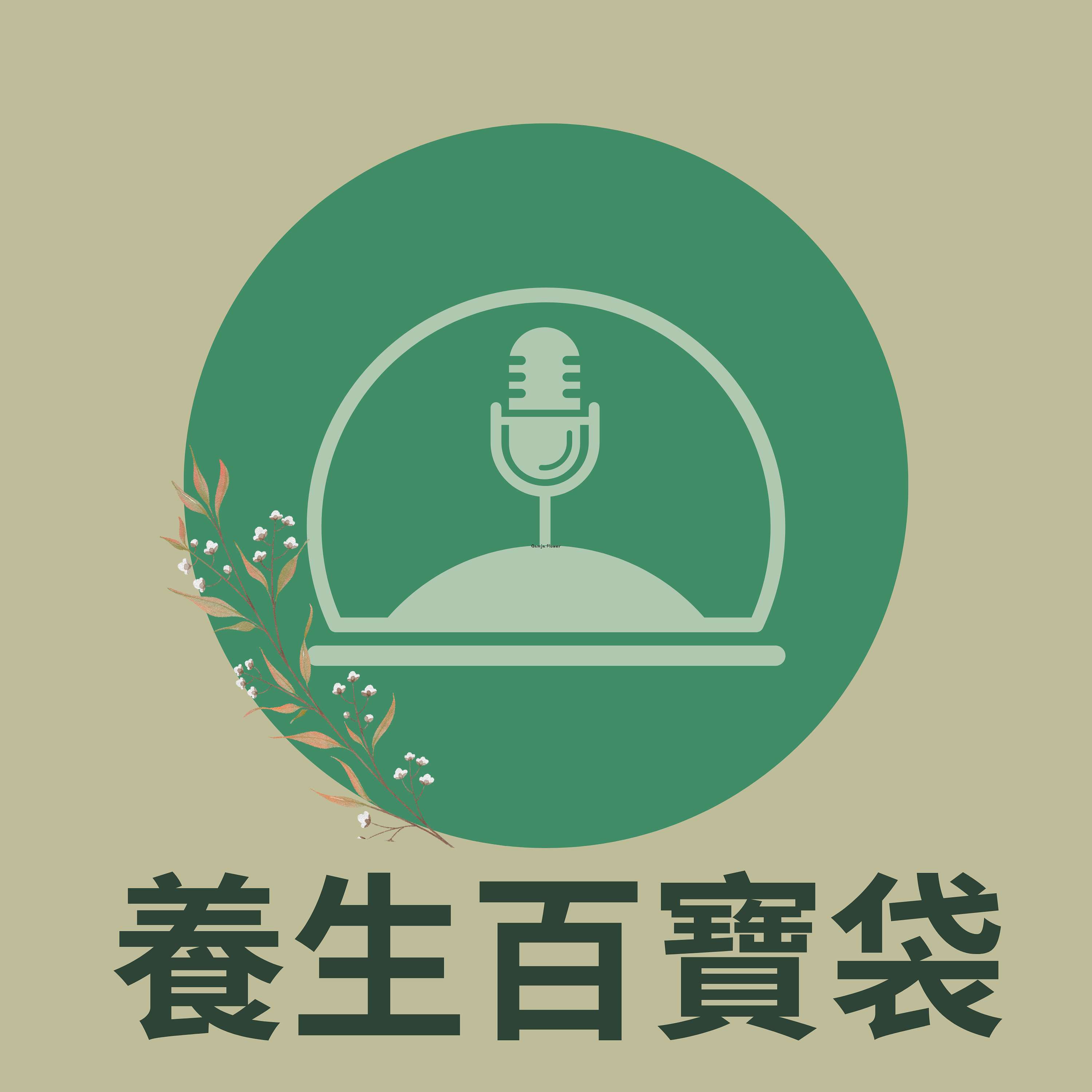 養生百寶袋