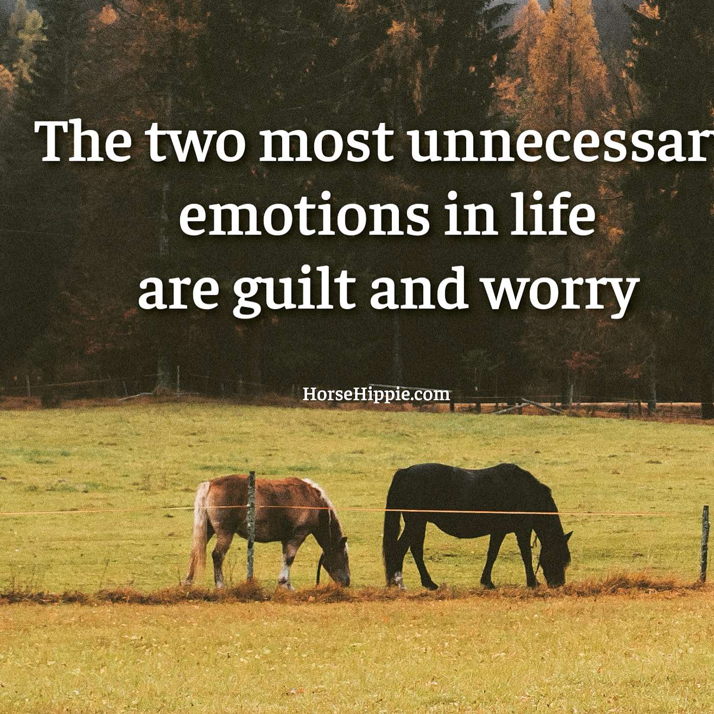Guilt and Worry