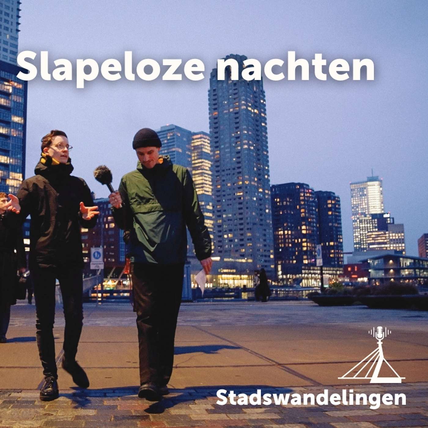 Stadswandelingen