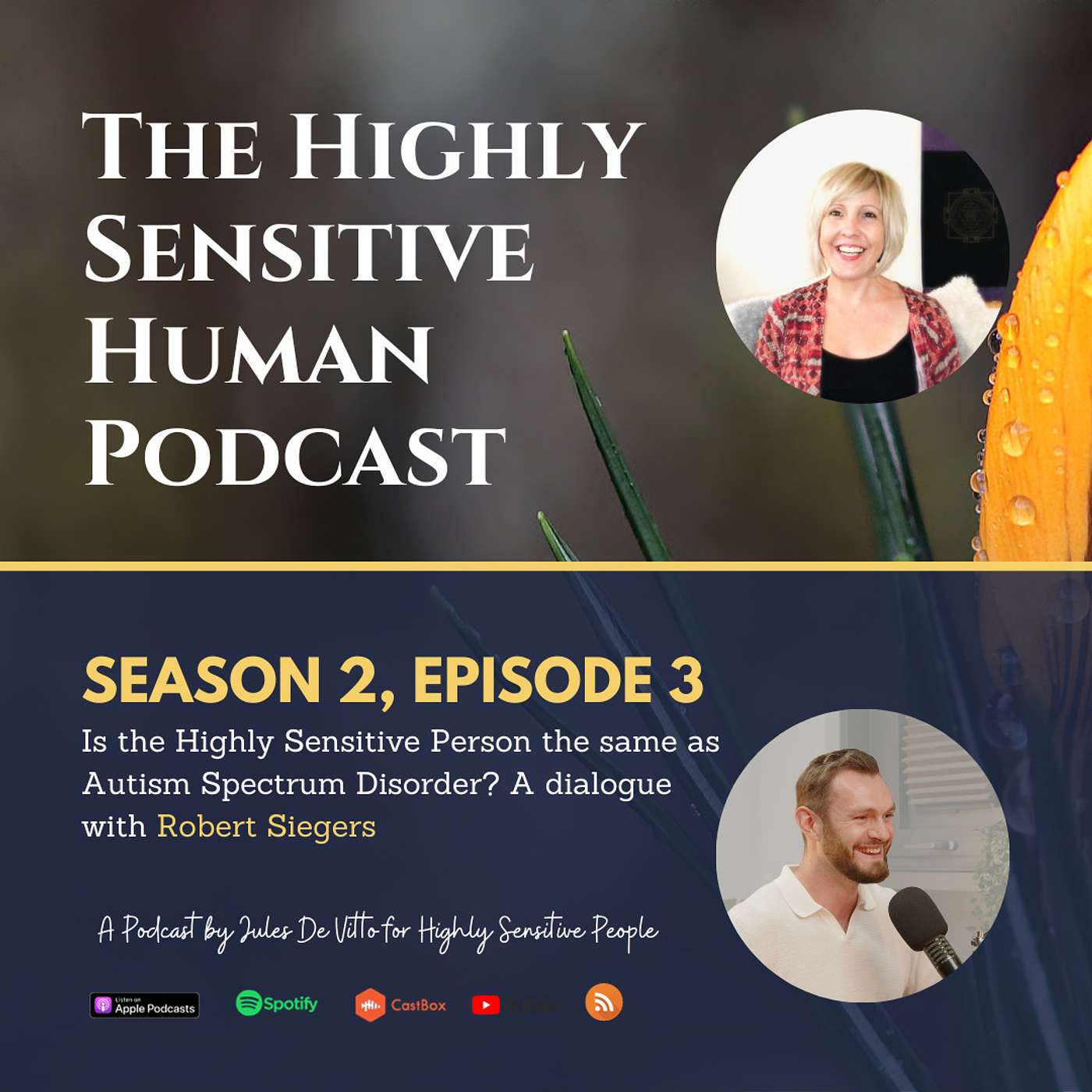 Is the Highly Sensitive Person the same as Autism Spectrum Disorder?