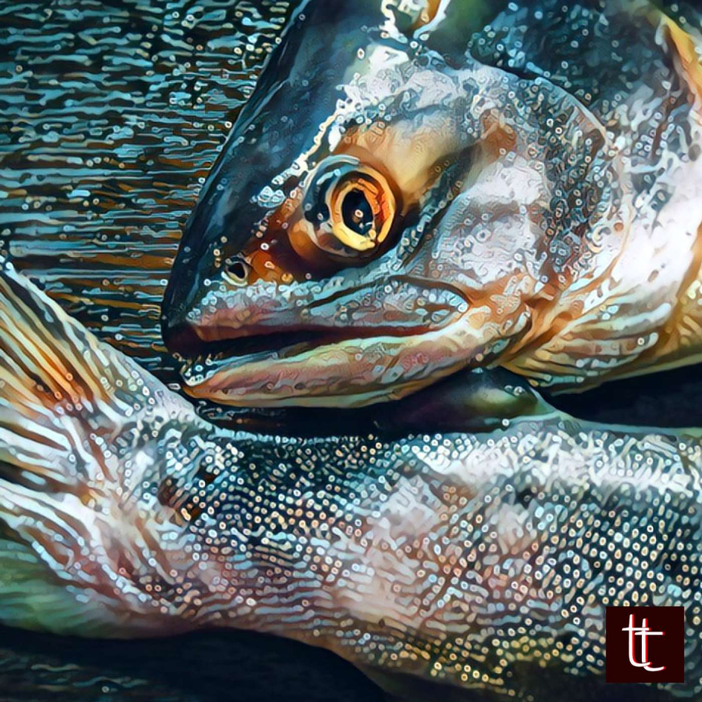 52: Fish Bones