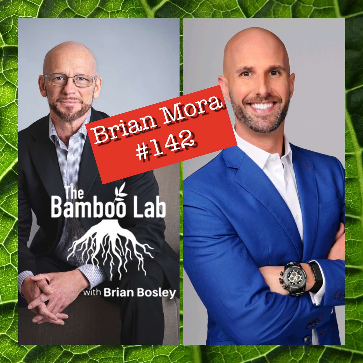 The Bamboo Lab Podcast