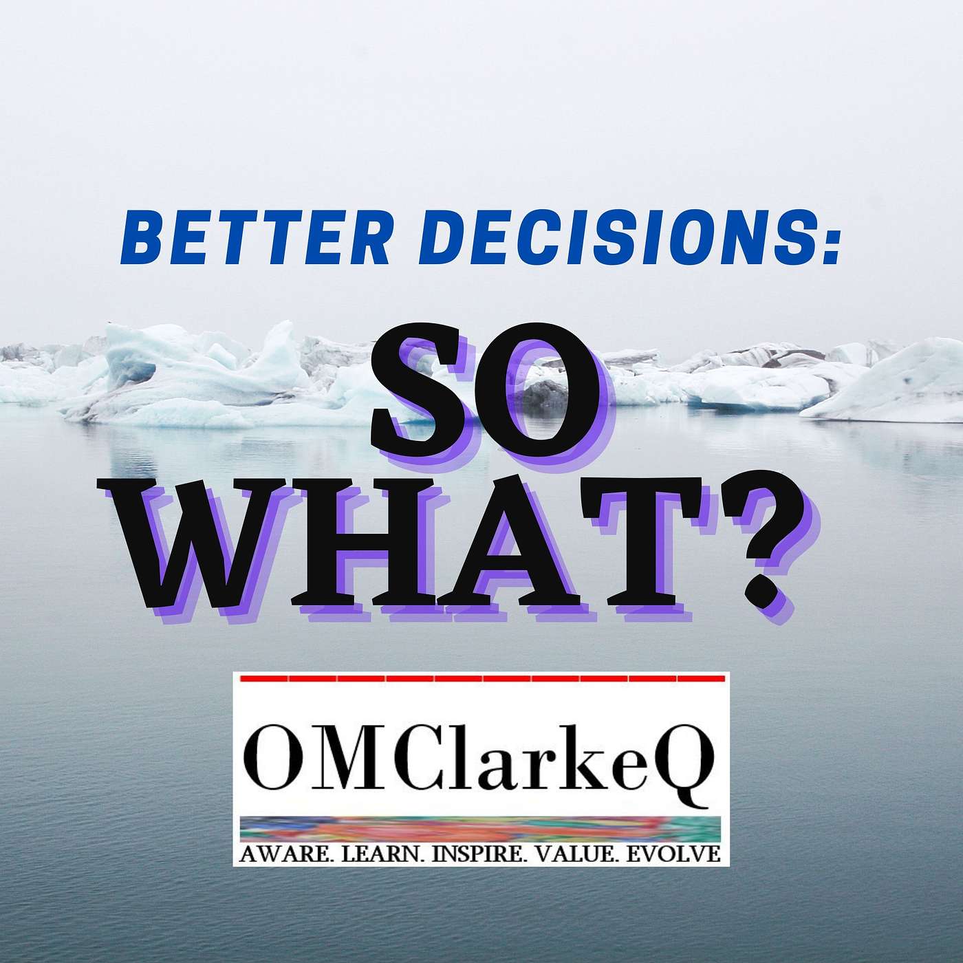 Better Decisions: So What?