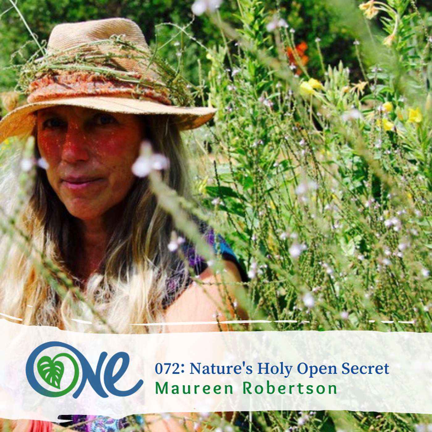 Nature Evolutionaries
