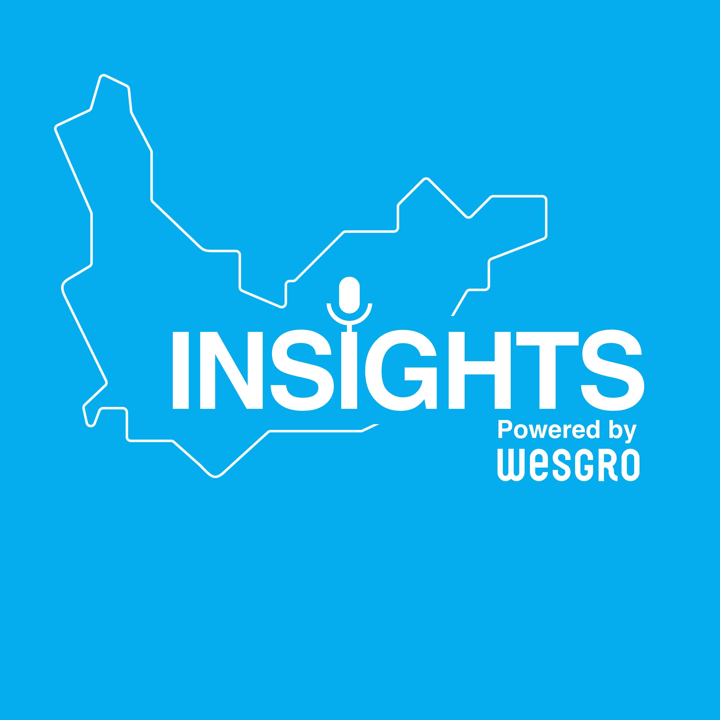 Wesgro Insights