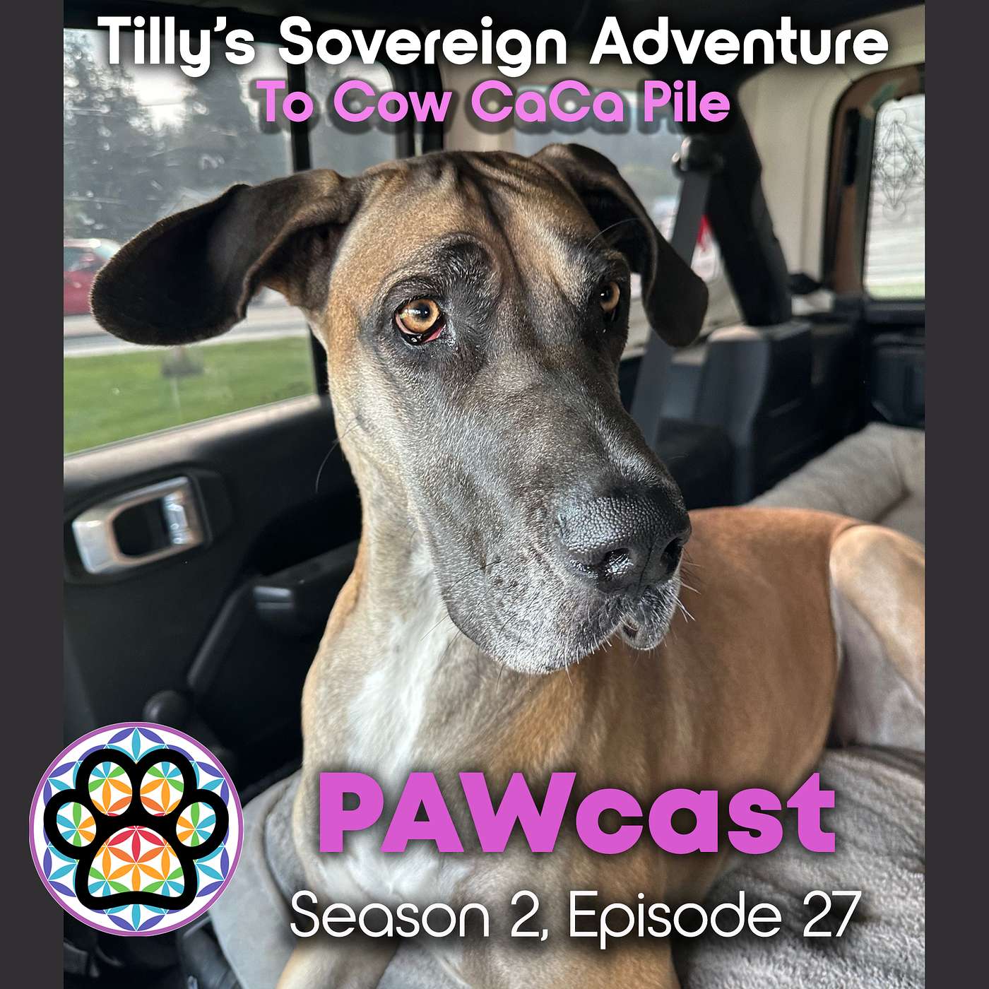 27 - Tilly Exercises Her Sovereignty with Cow Pile episode artwork