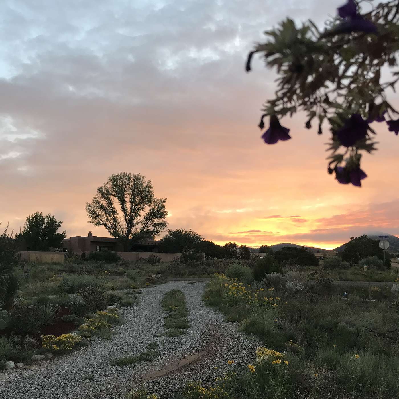First Cup of Coffee - September 6, 2018