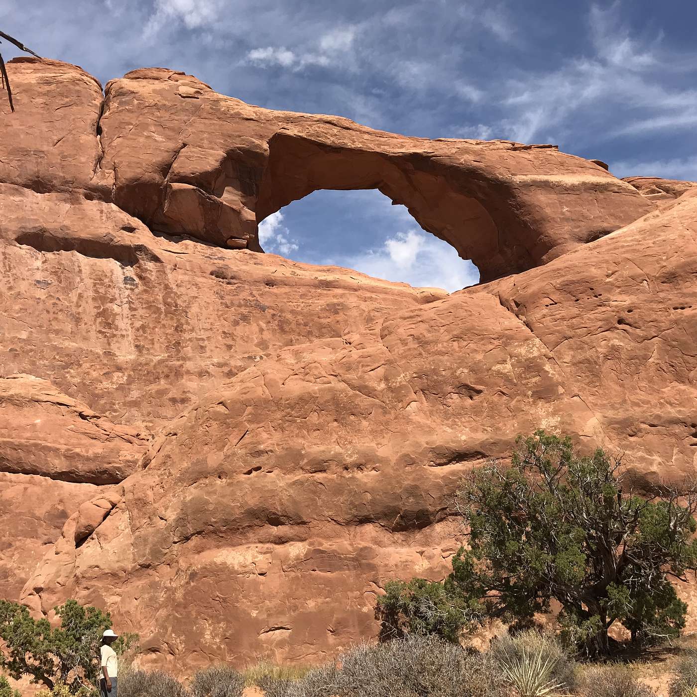 SELDI Podcast with Tony Williams