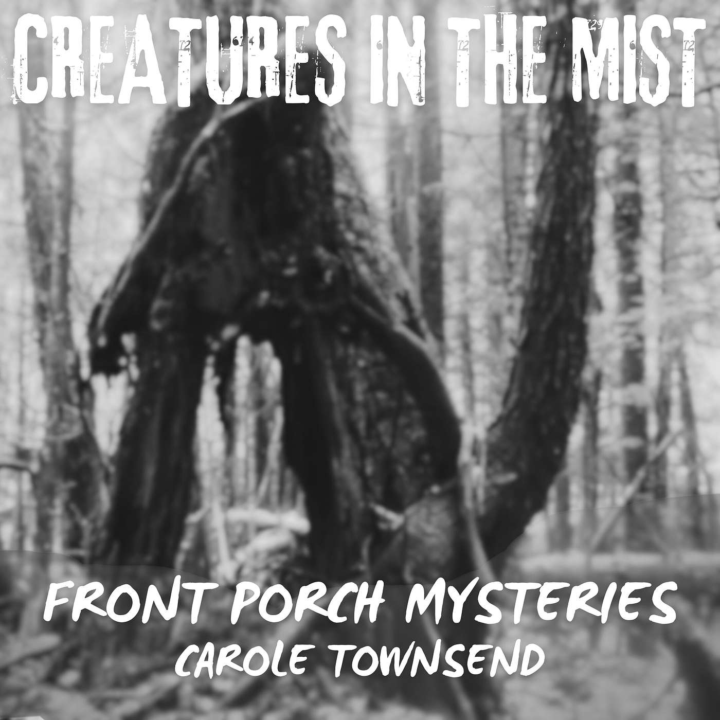 Front Porch Mysteries with Carole Townsend