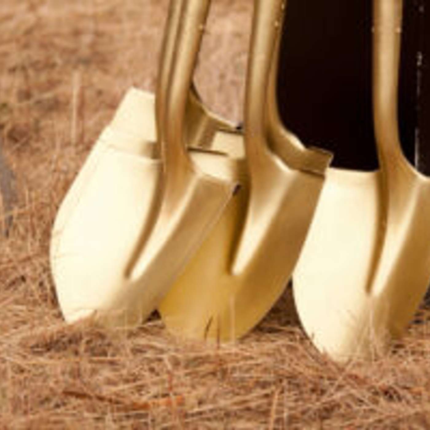 Burlington Distribution Center Groundbreaking in Buckeye