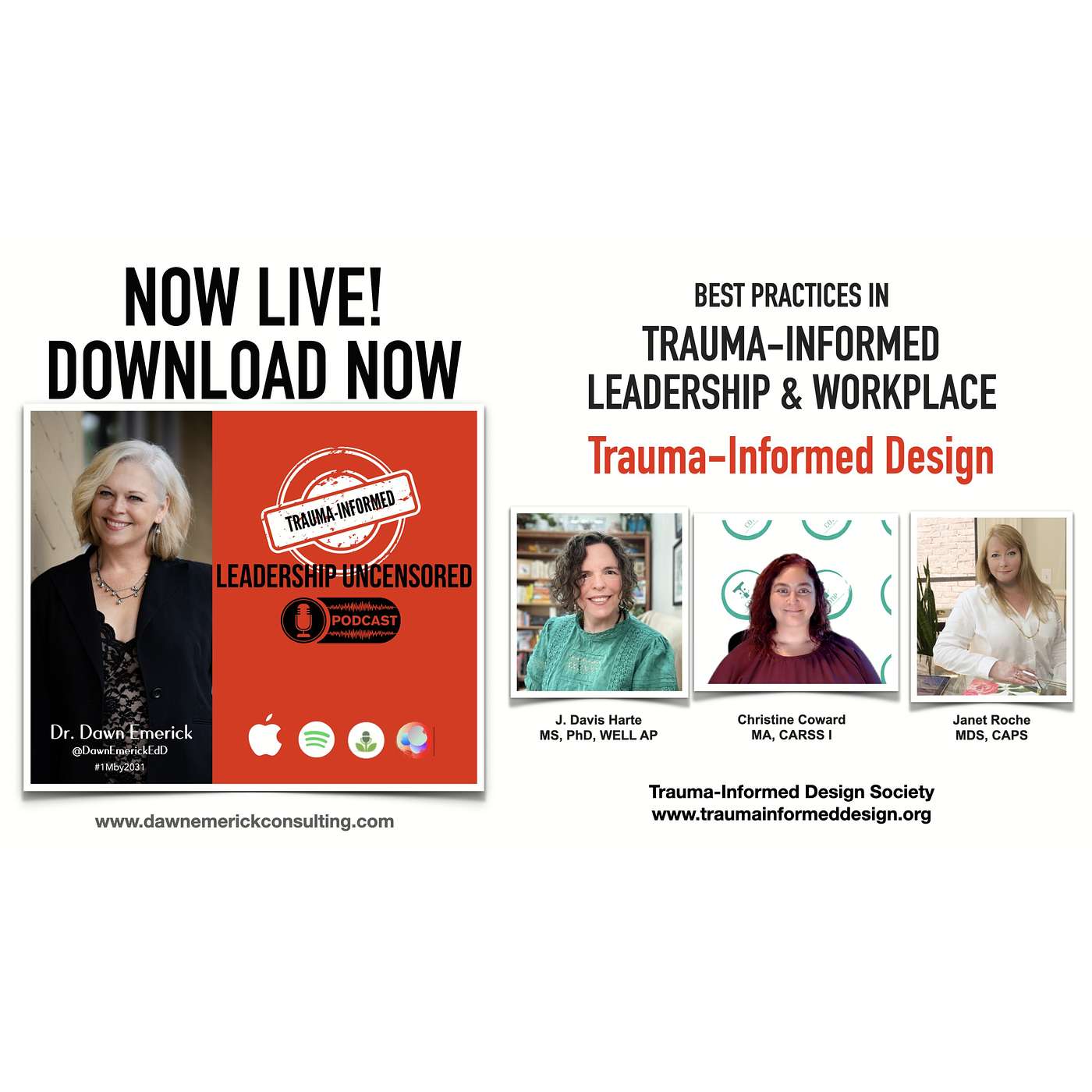 Season 3: Episode 17 Best Practices in Trauma-Informed Leadership: Trauma-Informed Design